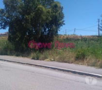 Terrenos Valongo - Fotos para Valongo-Terreno em Campo (RT 01304)